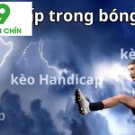 processed keo hiep 1 la gi handicap
